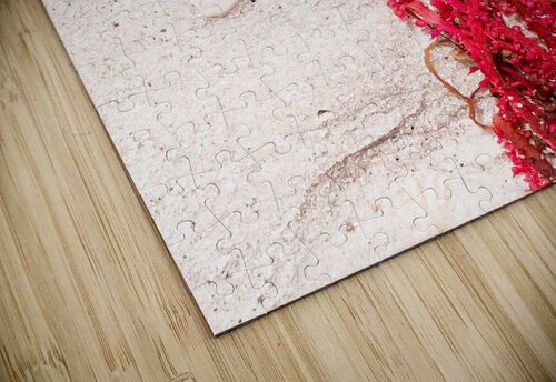 Naples Sand and Surf 33 Luxgaia puzzle