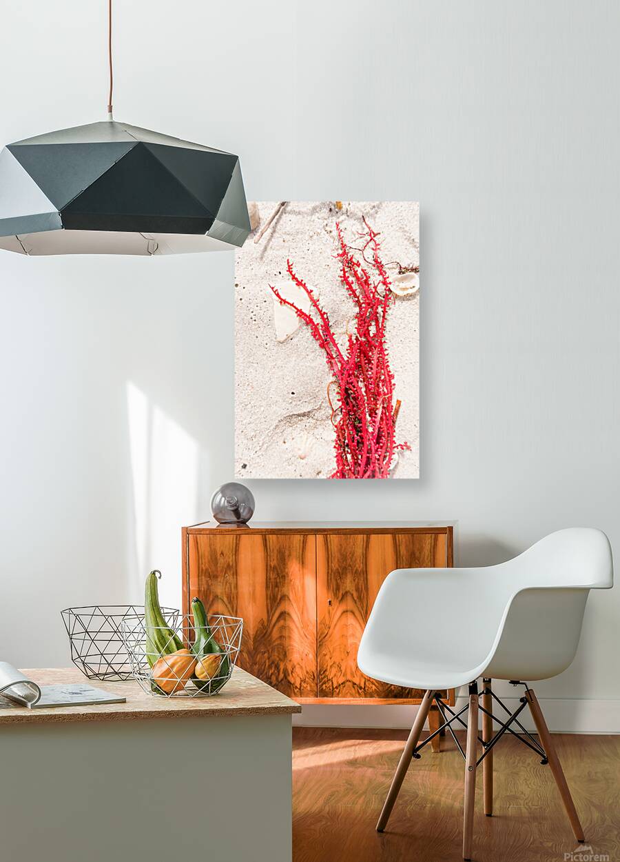 Naples Sand and Surf 30 Reproduction