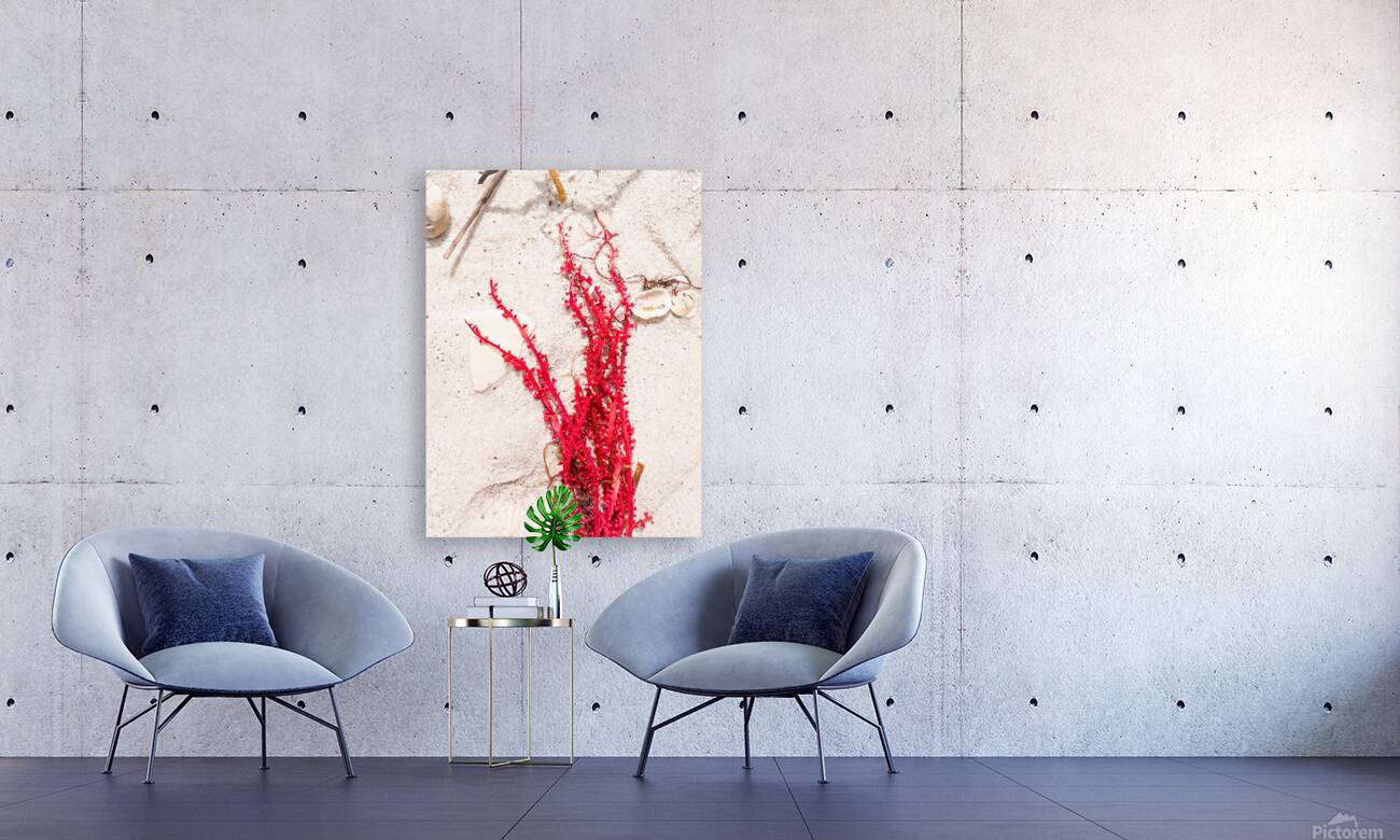 Naples Sand and Surf 33 Reproduction