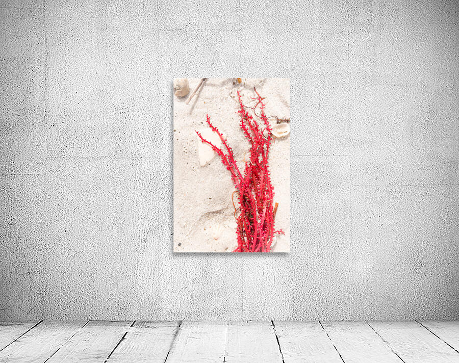 Naples Sand and Surf 30 Wall Preview