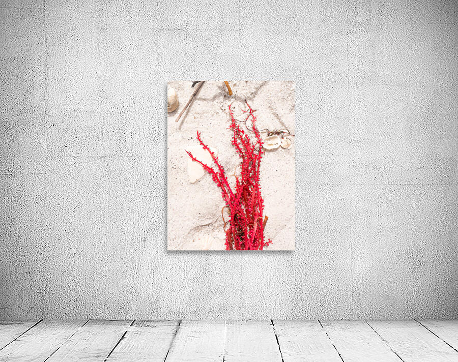 Naples Sand and Surf 33 Wall Preview