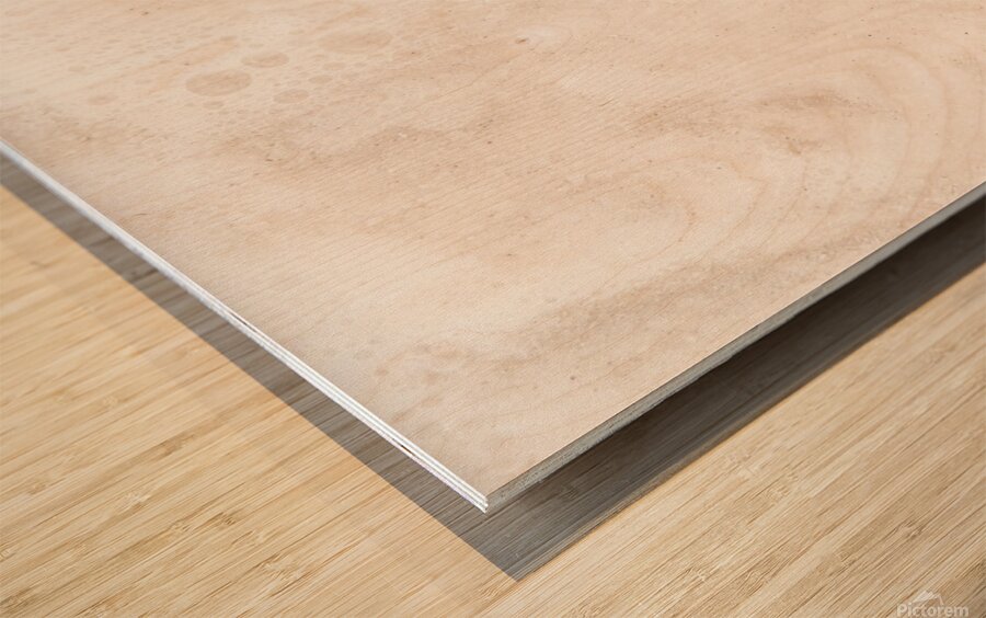 Naples Sand and Surf 1 Wood print