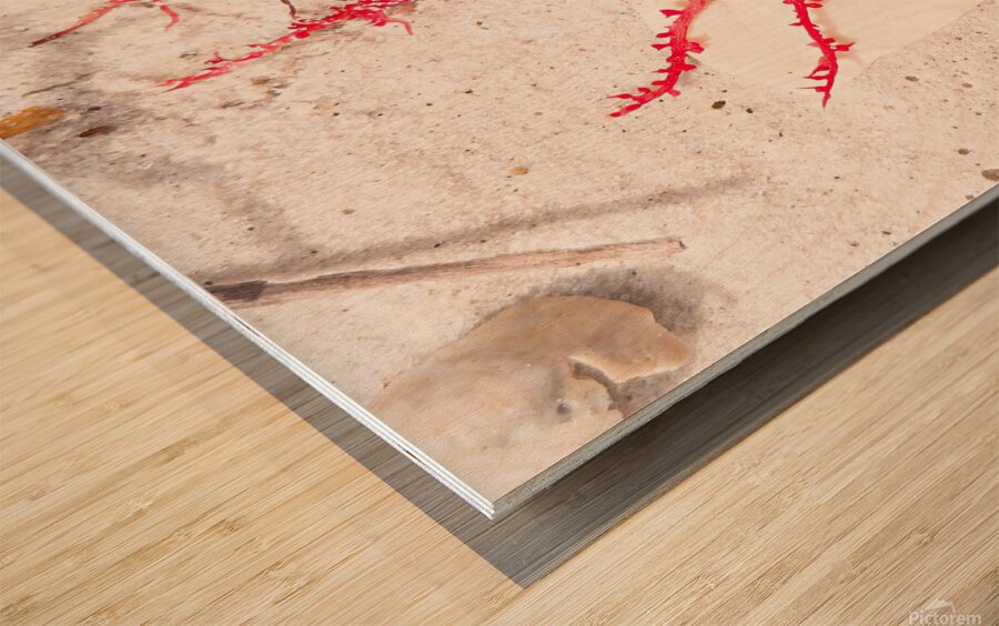 Naples Sand and Surf 30 Wood print