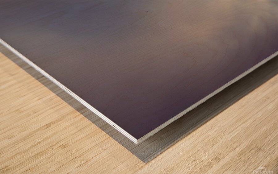 Naples Sand and Surf 41 Wood print