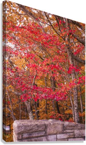 Pinnacle Lee county Virginia Canvas Print