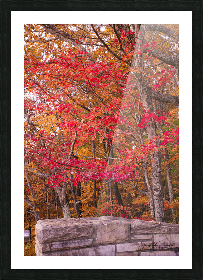 Pinnacle Lee county Virginia Picture Frame print
