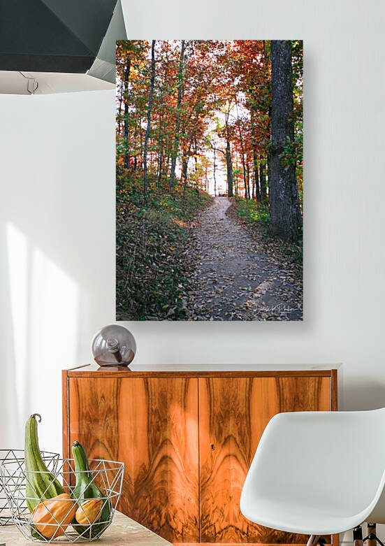 Trail to Pinnacle by Donald K Phillips