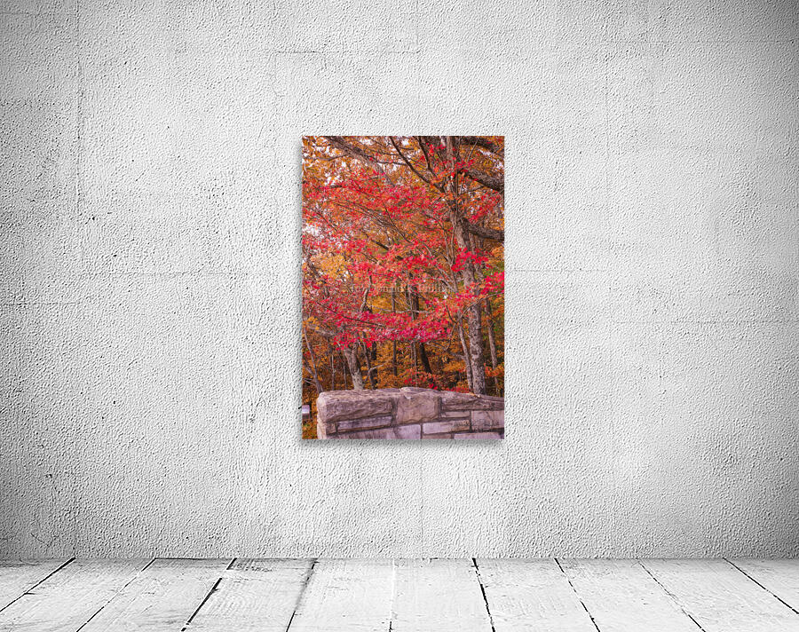 Pinnacle Lee county Virginia Wall Preview