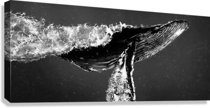 Rise Above All Sink Below None Canvas Print