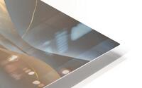 Solstice Echo – Luminous Reverberation HD Metal print