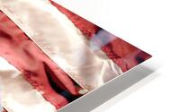 Independency HD Metal print
