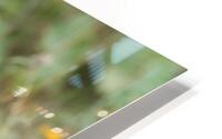 montanya HD Metal print