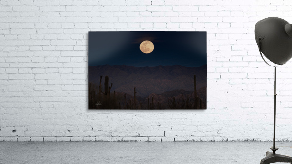 moonscape Wall Preview