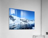 Antarctica  Acrylic Print