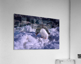 Antarctica penguins  Acrylic Print