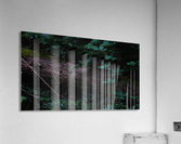 Sheffield Endcliffe Park Acrylic Print