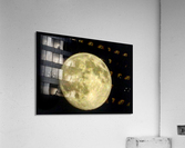 Moon  Acrylic Print