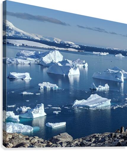 Antarctica icebergs  Canvas Print