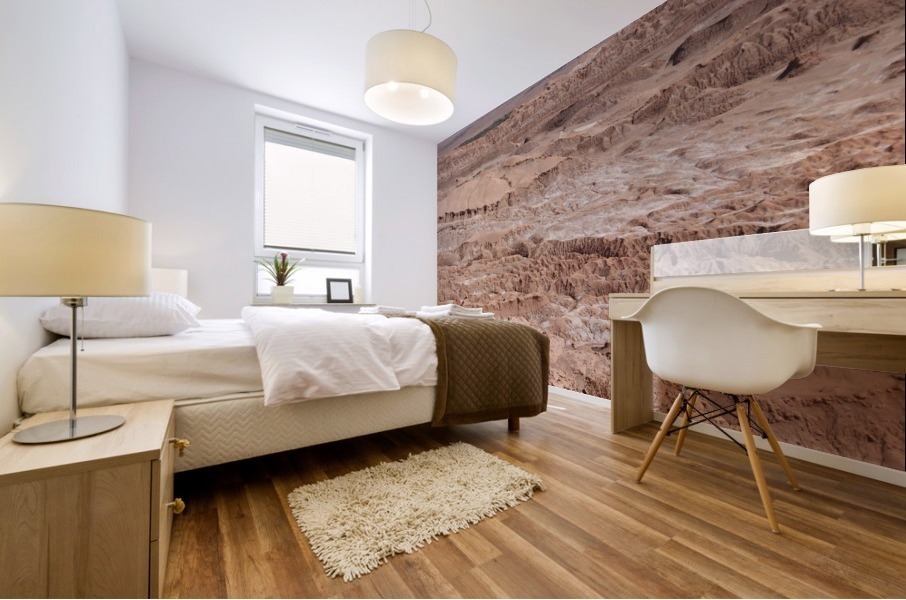 Valley De Luna  Mural print