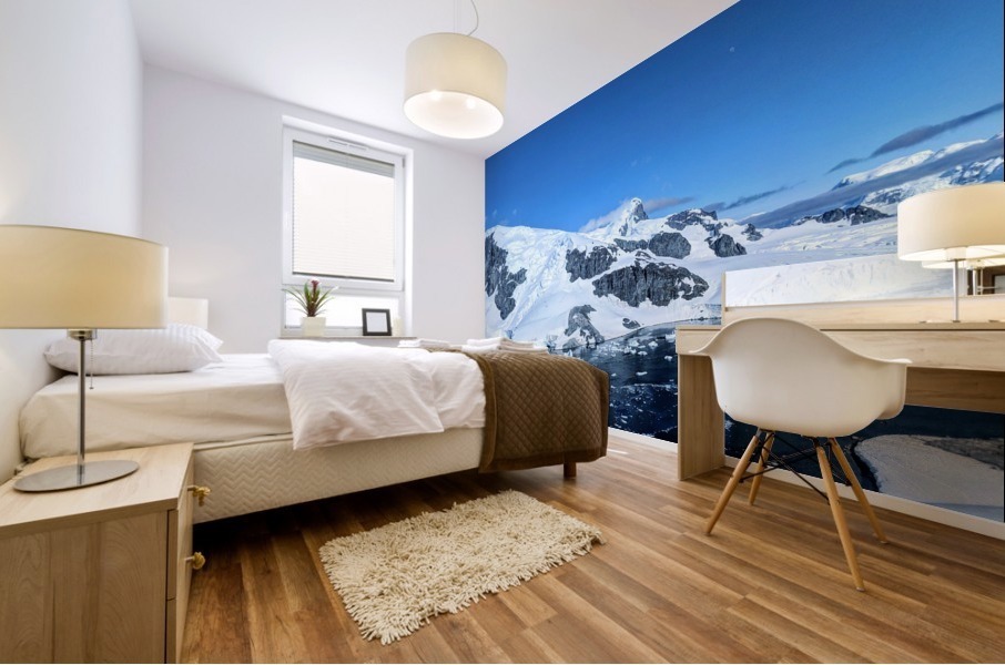 Antarctica  Mural print