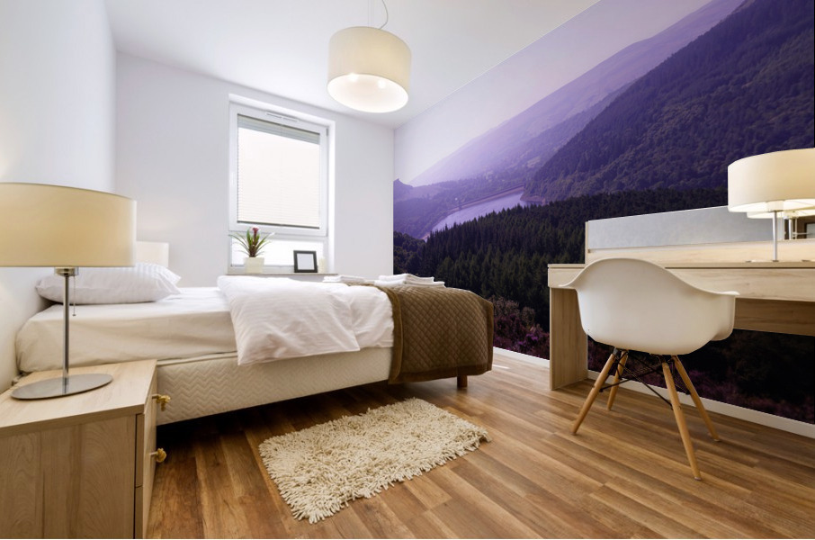 Peak District Summer views Mural print