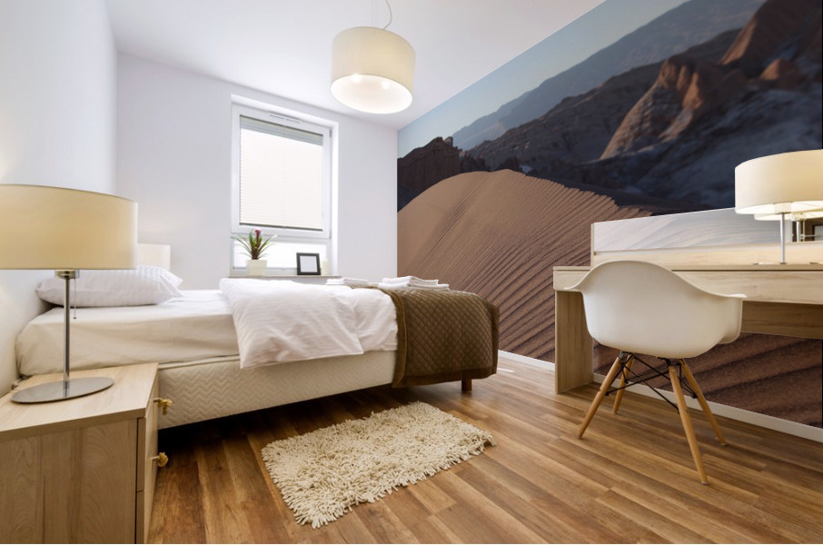 Moon Valley De Luna  Mural print