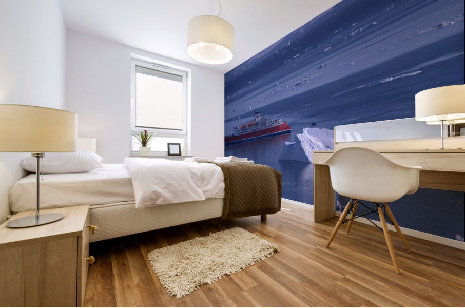 Antarctica Mural print