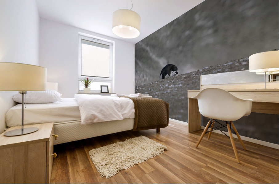 Penguin Chinstrap  Mural print