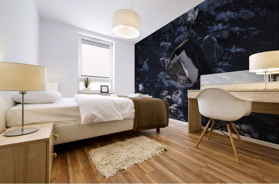 Antarctica Mural print