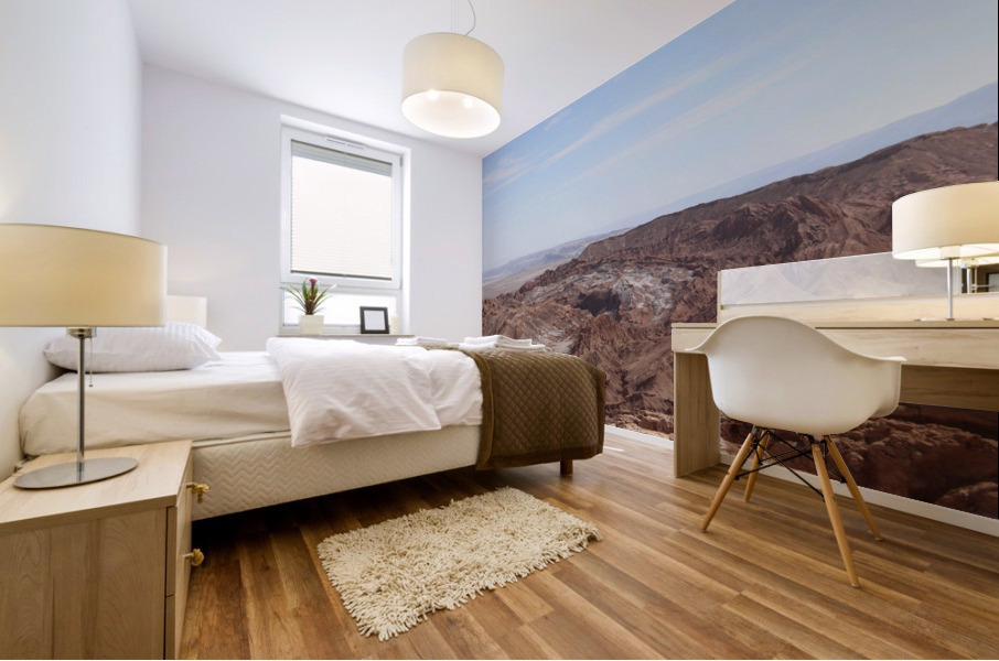 Moon Valley De Luna  Mural print