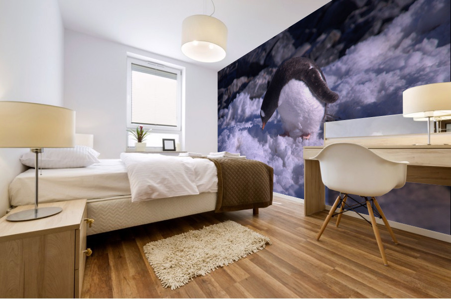 Antarctica penguins  Mural print