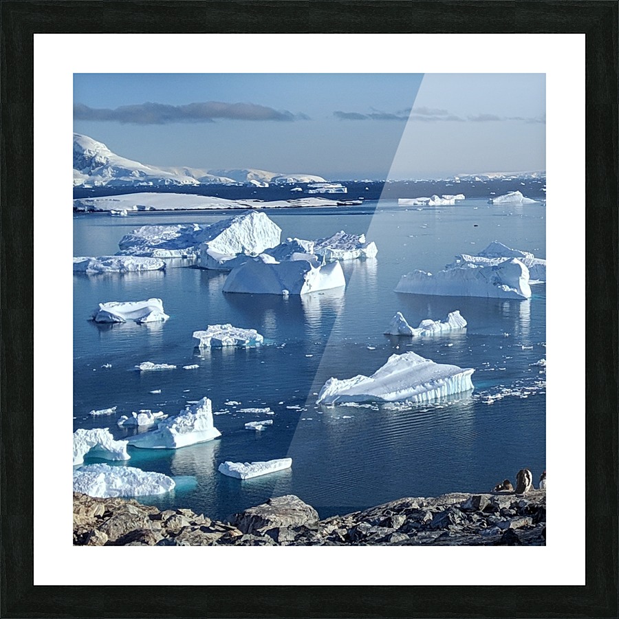 Antarctica icebergs  Picture Frame print