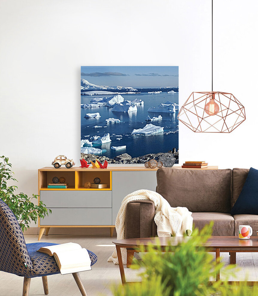 Antarctica icebergs  Reproduction