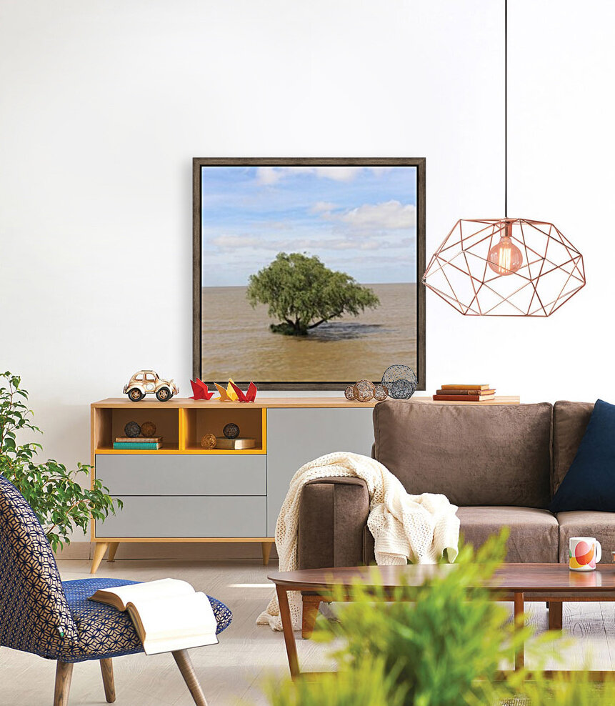 Uruguay Lone Tree  Reproduction