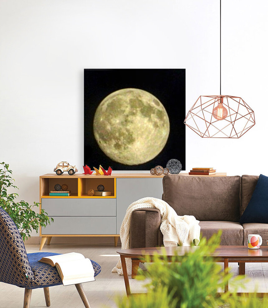 Moon  Reproduction