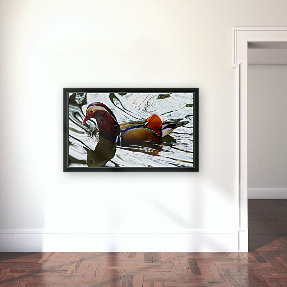 Mandarin Duck  Reproduction