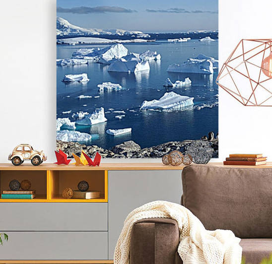 Antarctica icebergs  Reproduction
