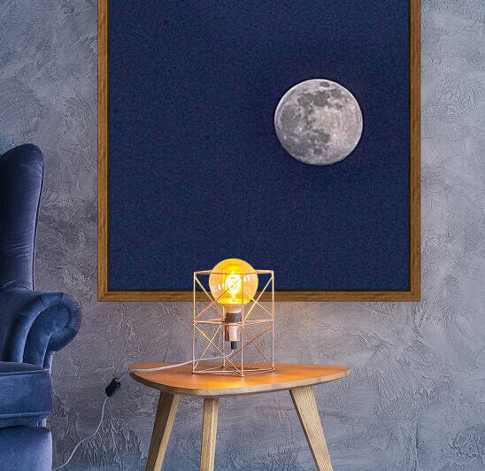 Full Moon  Reproduction