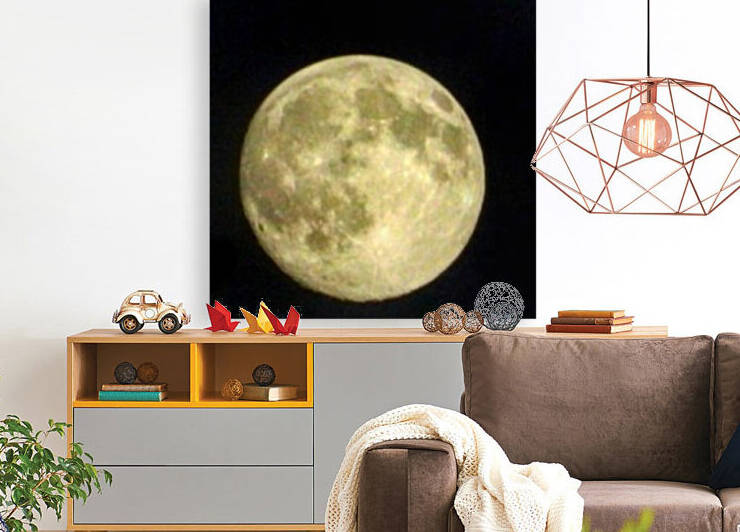 Moon  Reproduction