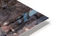 Antarctica   HD Metal print
