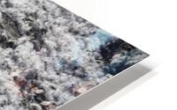 Penguin Chinstrap  HD Metal print