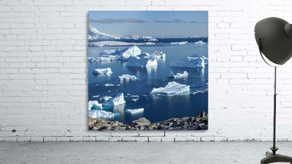 Antarctica icebergs  Wall Preview