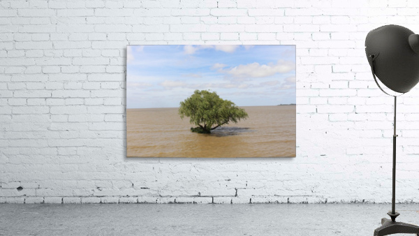 Uruguay Lone Tree  Wall Preview