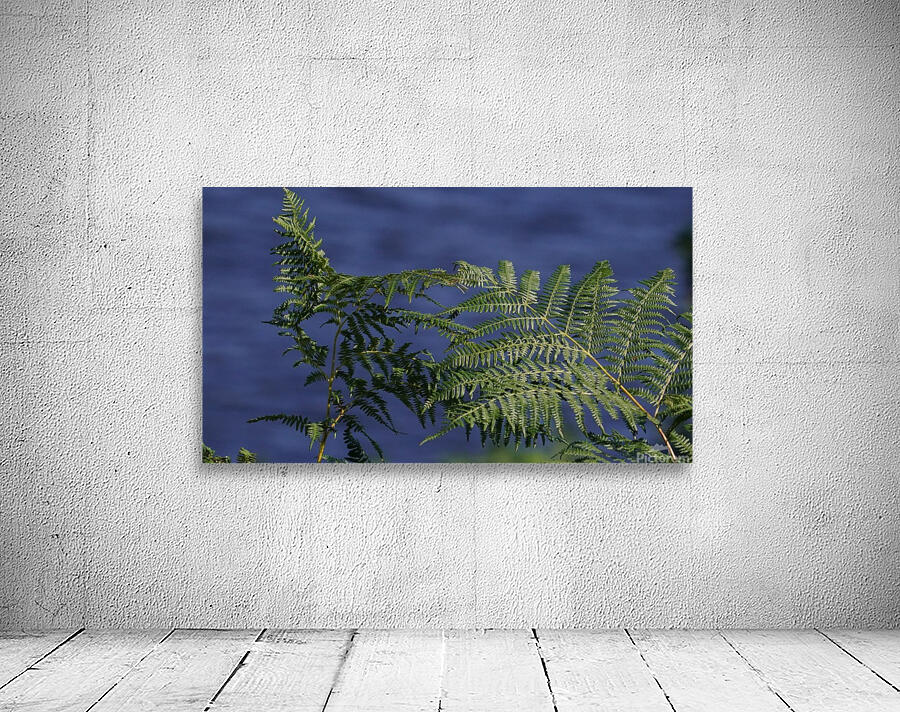 Peak District Plants Wall Preview