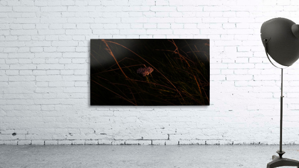 Flower Peak District  Wall Preview