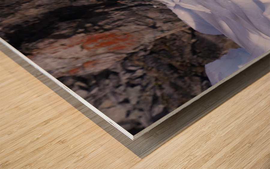 Antarctica   Wood print