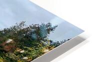 autumn HD Metal print