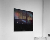 The Shy Spiral - February 23rd 2025 Acrylic Print