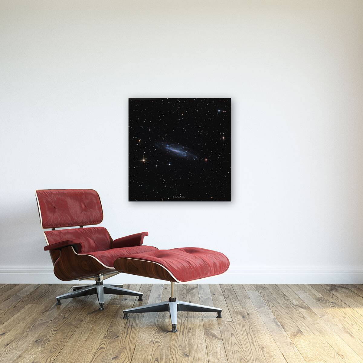 The Shy Spiral - February 23rd 2025 Reproduction