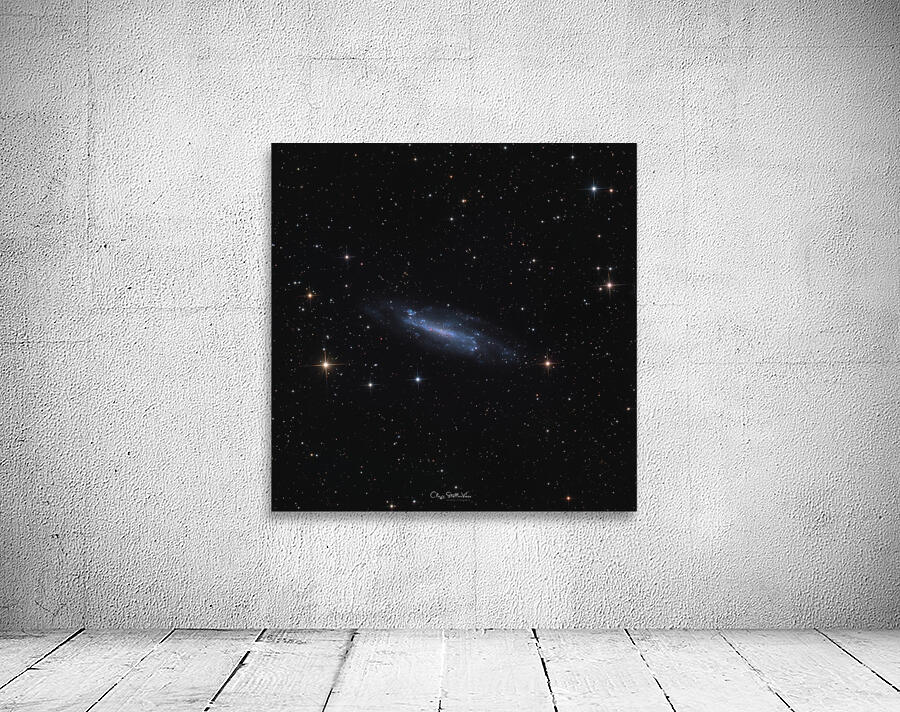 The Shy Spiral - February 23rd 2025 Wall Preview